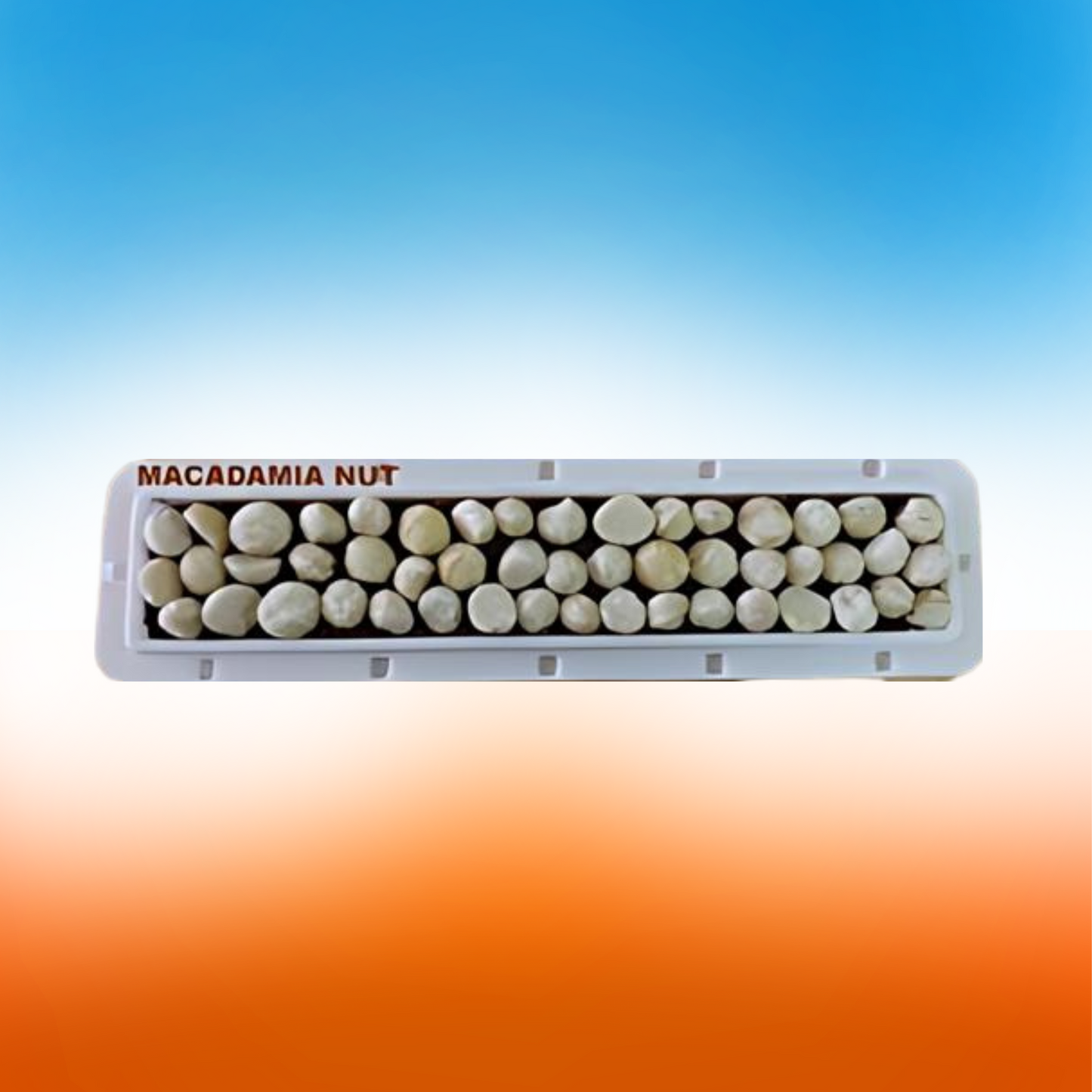 Hemp Bars